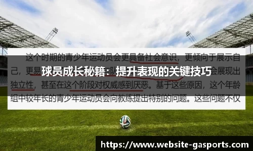 GA黄金甲体育